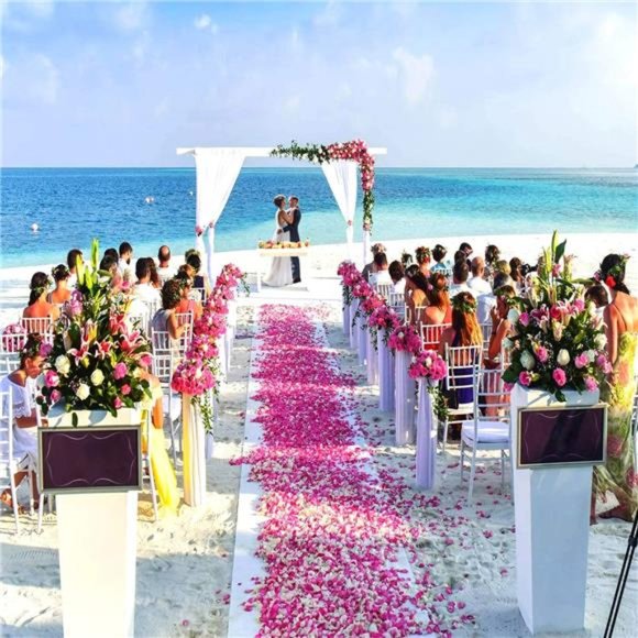 1200PCS Artificial Silk Rose Petals DecorationRomantic Night Wedding Event Party - Picture 5 of 5